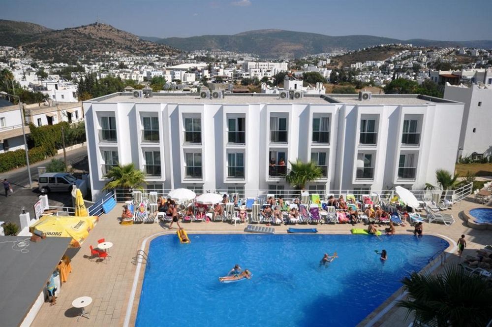 Club Shark Hotel