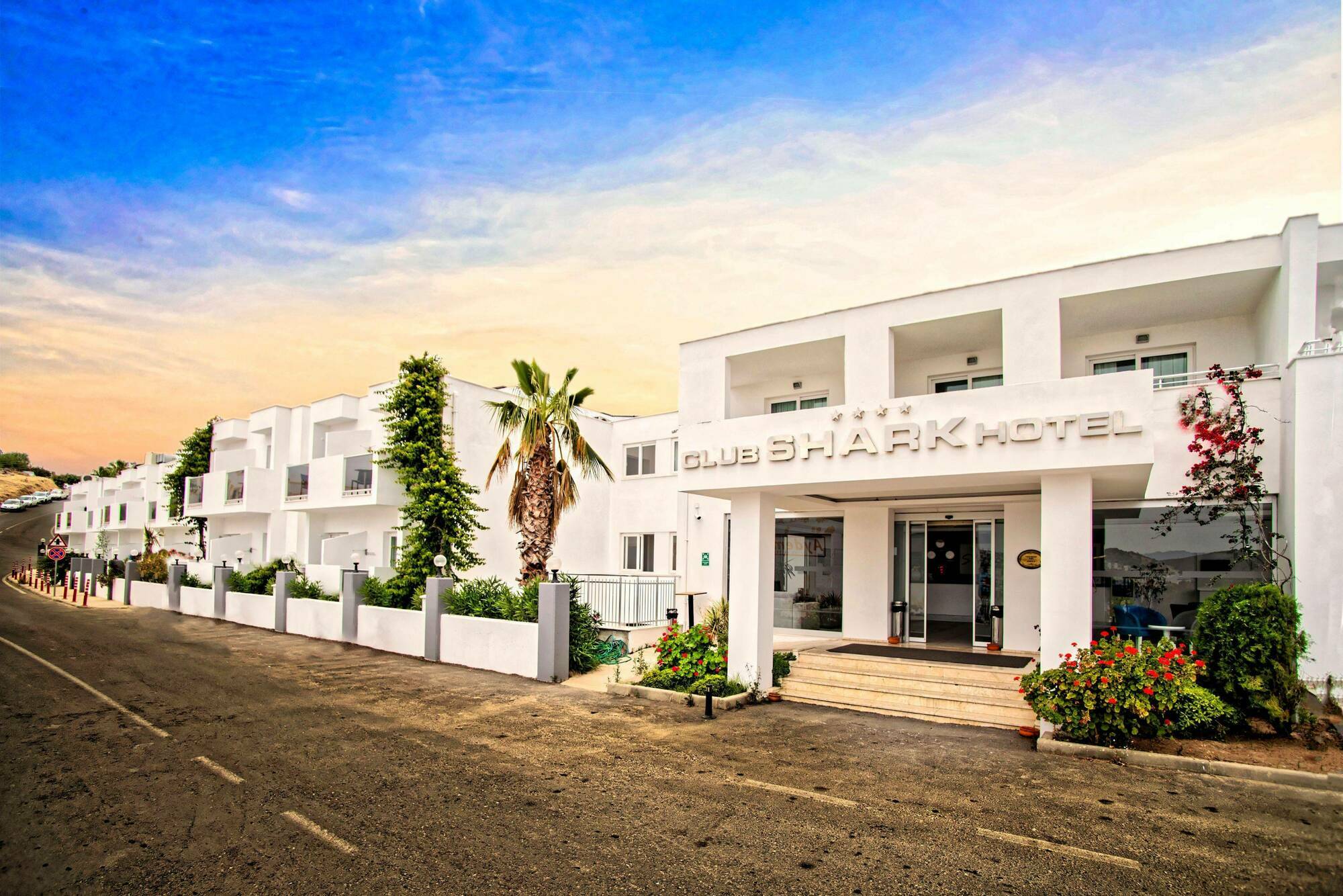 Hotel Club Shark